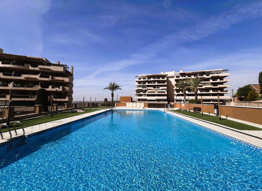 Odsprzedaż - Apartamento - Arenales del Sol