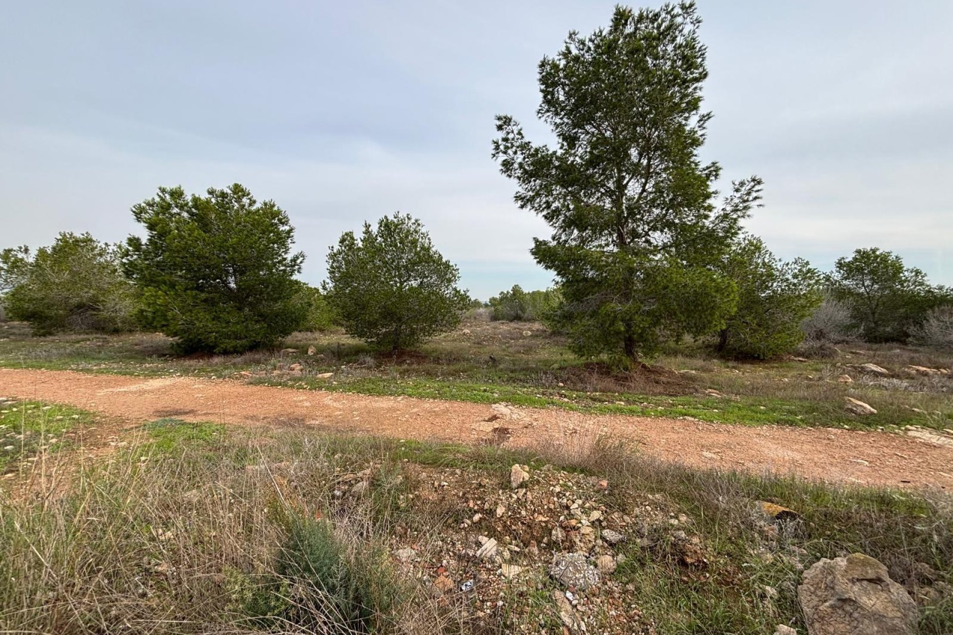 Odsprzedaż - Bungalow - Torrevieja - El chaparral