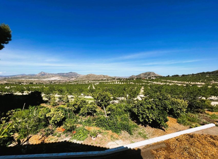 Odsprzedaż - Finca rústica - Monovar - Monover - Beties