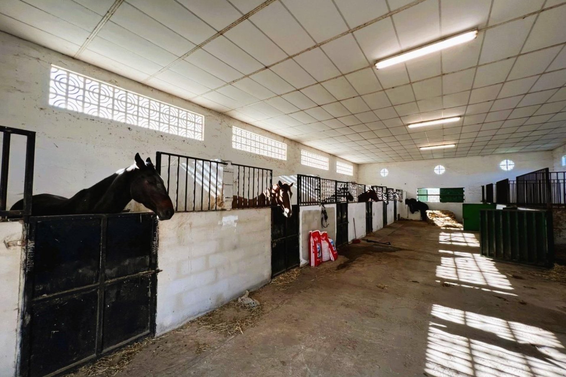 Odsprzedaż - Finca rústica - Novelda - SERRETA