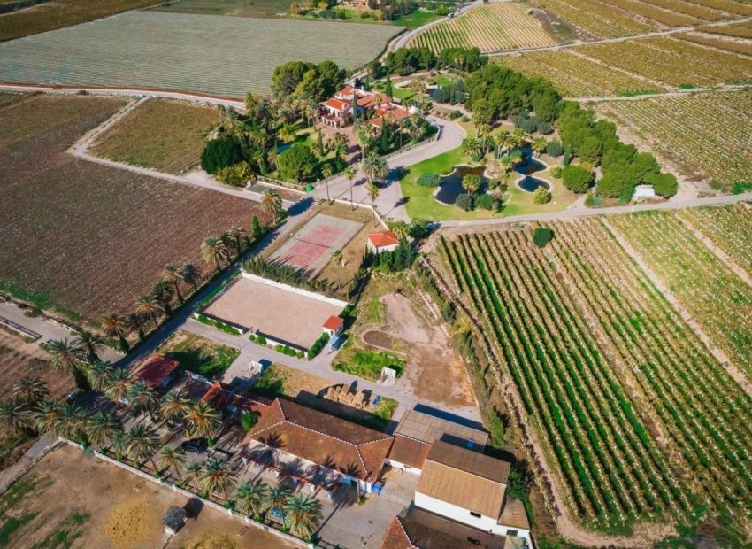 Odsprzedaż - Finca rústica - Novelda - SERRETA
