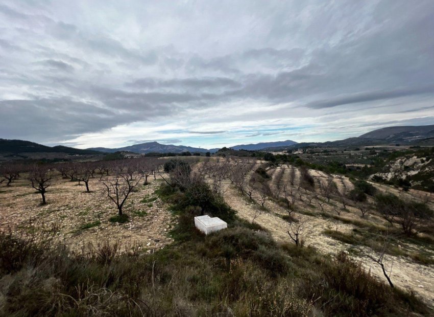 Odsprzedaż - Finca rústica - Penaguila