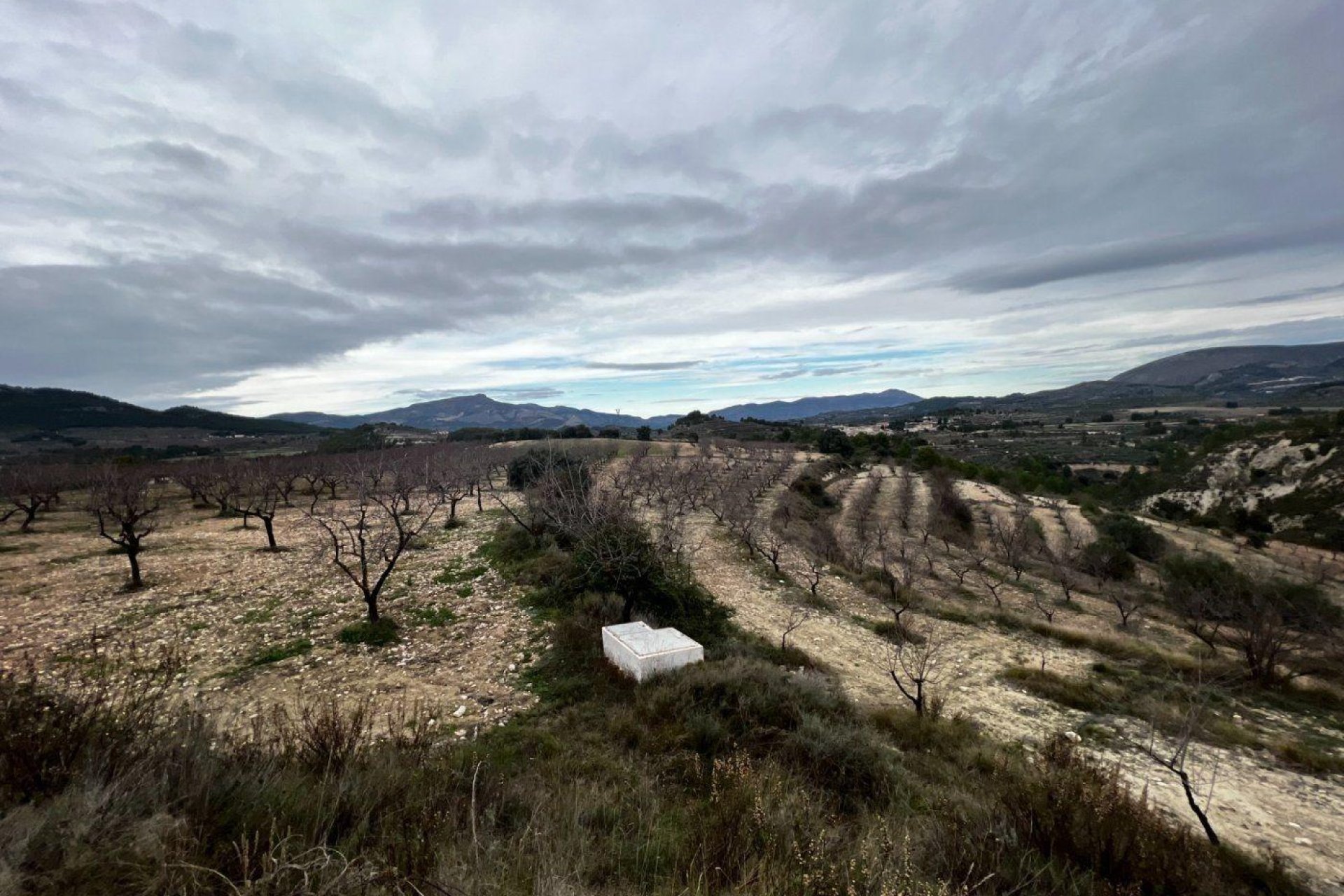 Odsprzedaż - Finca rústica - Penaguila
