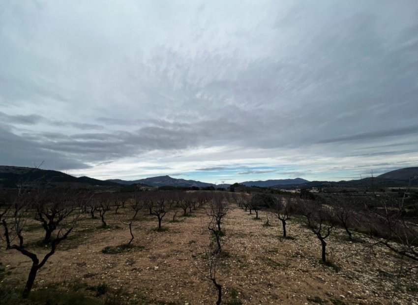 Odsprzedaż - Finca rústica - Penaguila