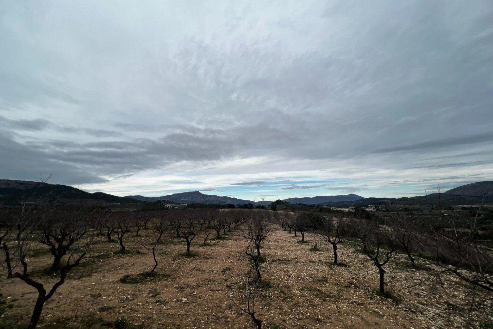 Odsprzedaż - Finca rústica - Penaguila
