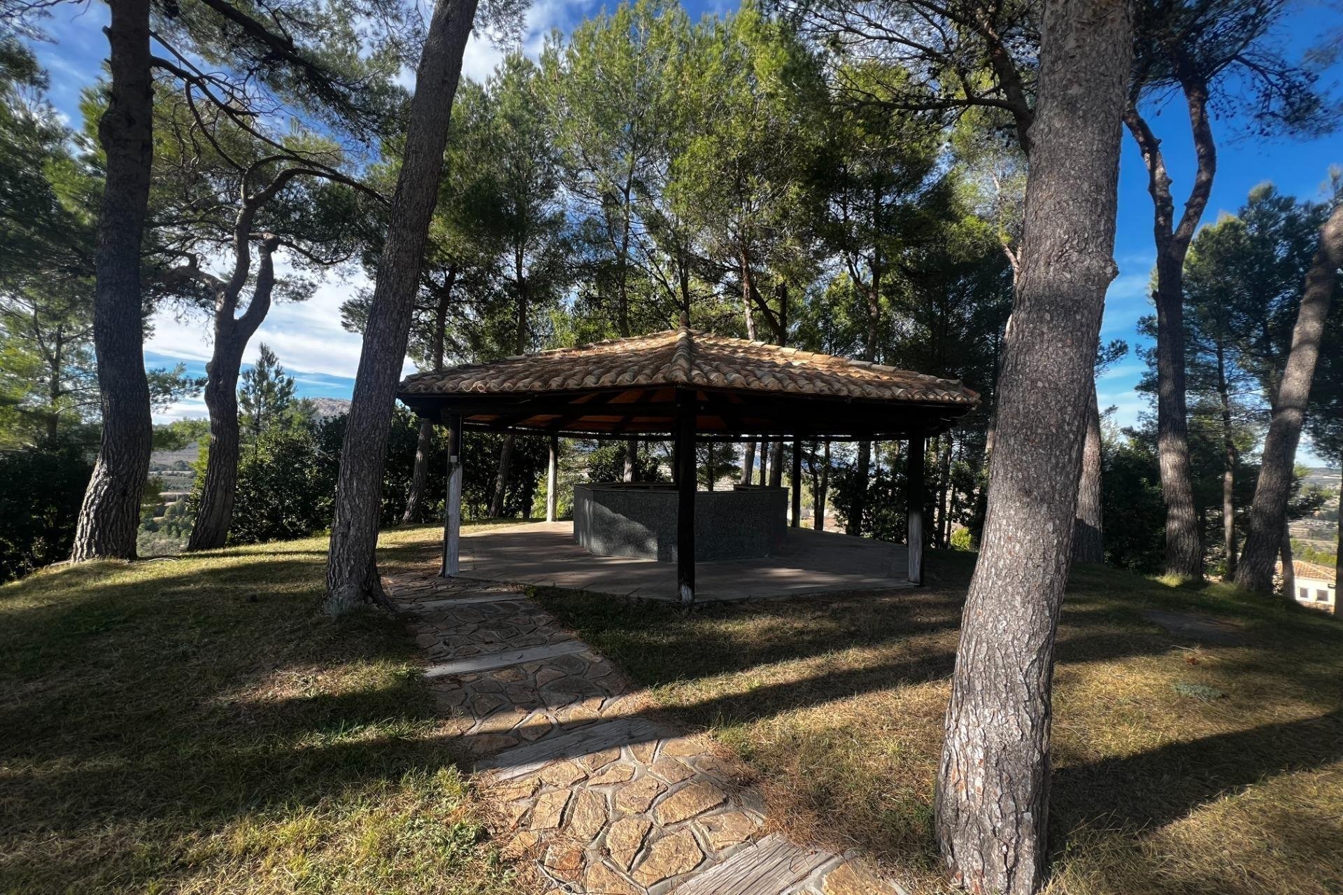 Odsprzedaż - Finca rústica - Penaguila