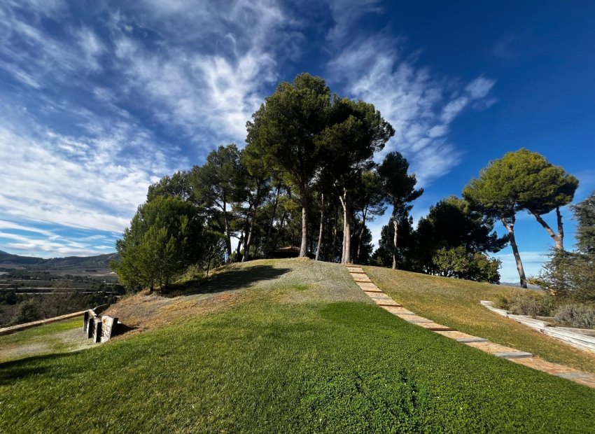 Odsprzedaż - Finca rústica - Penaguila