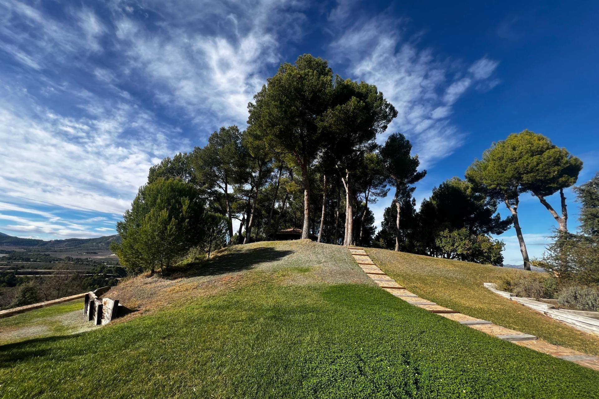 Odsprzedaż - Finca rústica - Penaguila