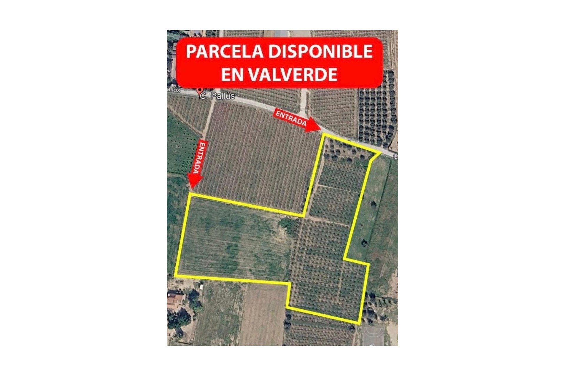 Odsprzedaż - Parcela - Valverde (Alicante) - Valverde