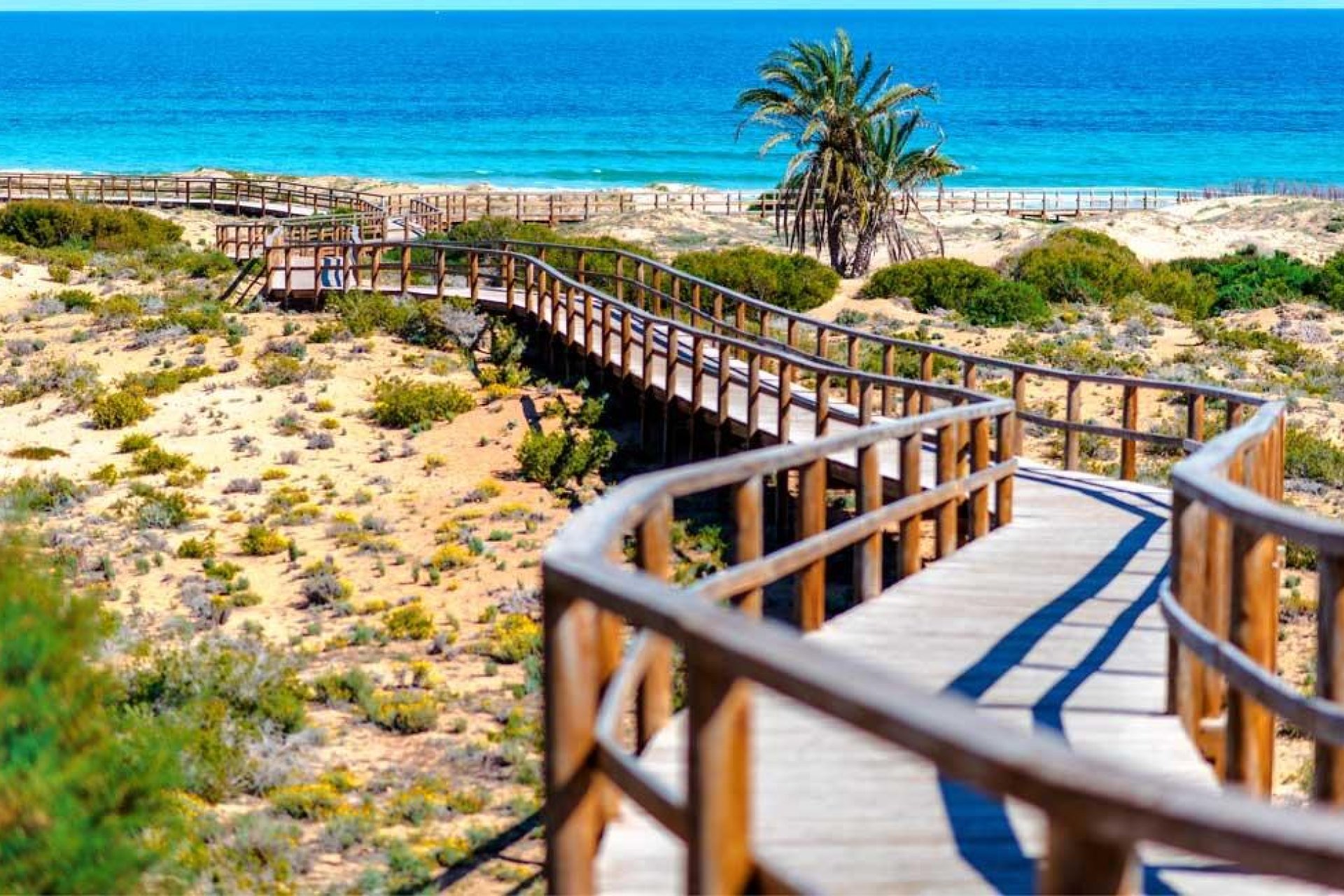 Odsprzedaż - Piso - Arenales del Sol