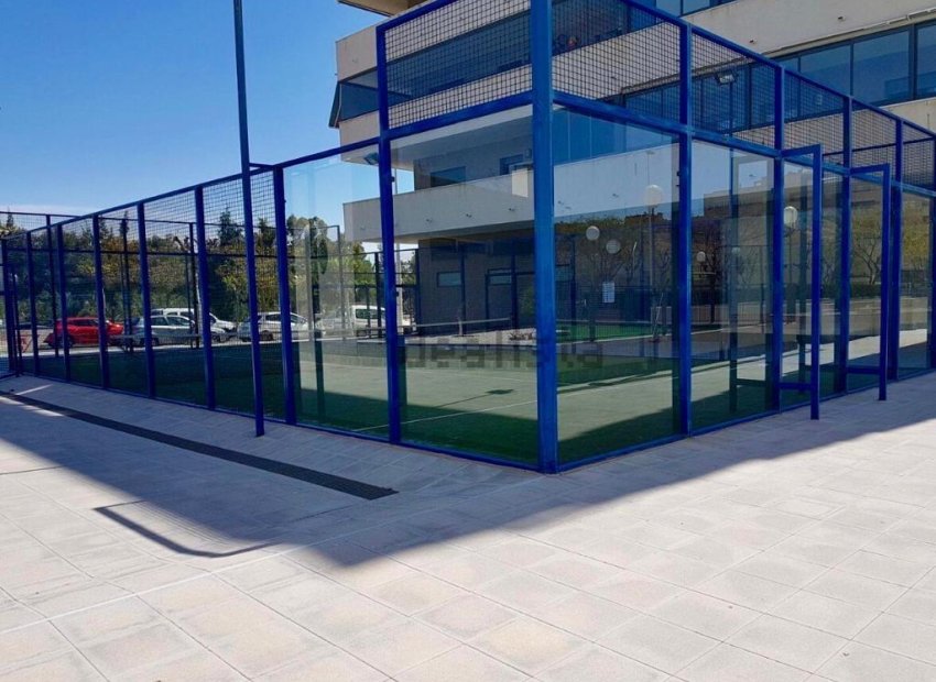 Odsprzedaż - Planta baja - Elche - Zona Universidad