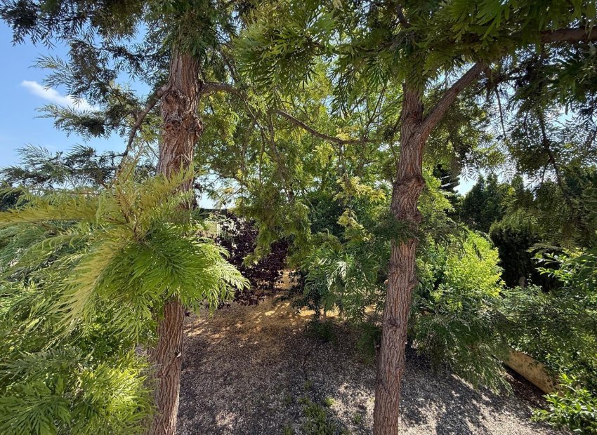 Odsprzedaż - Szalet - Albatera