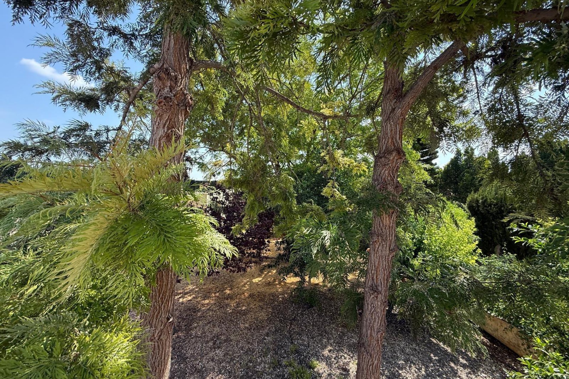 Odsprzedaż - Szalet - Albatera