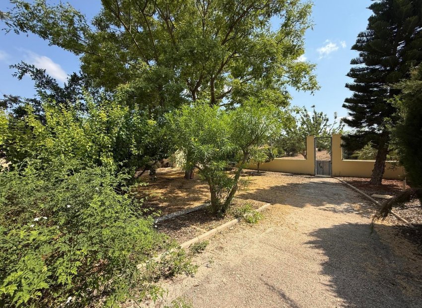 Odsprzedaż - Szalet - Albatera