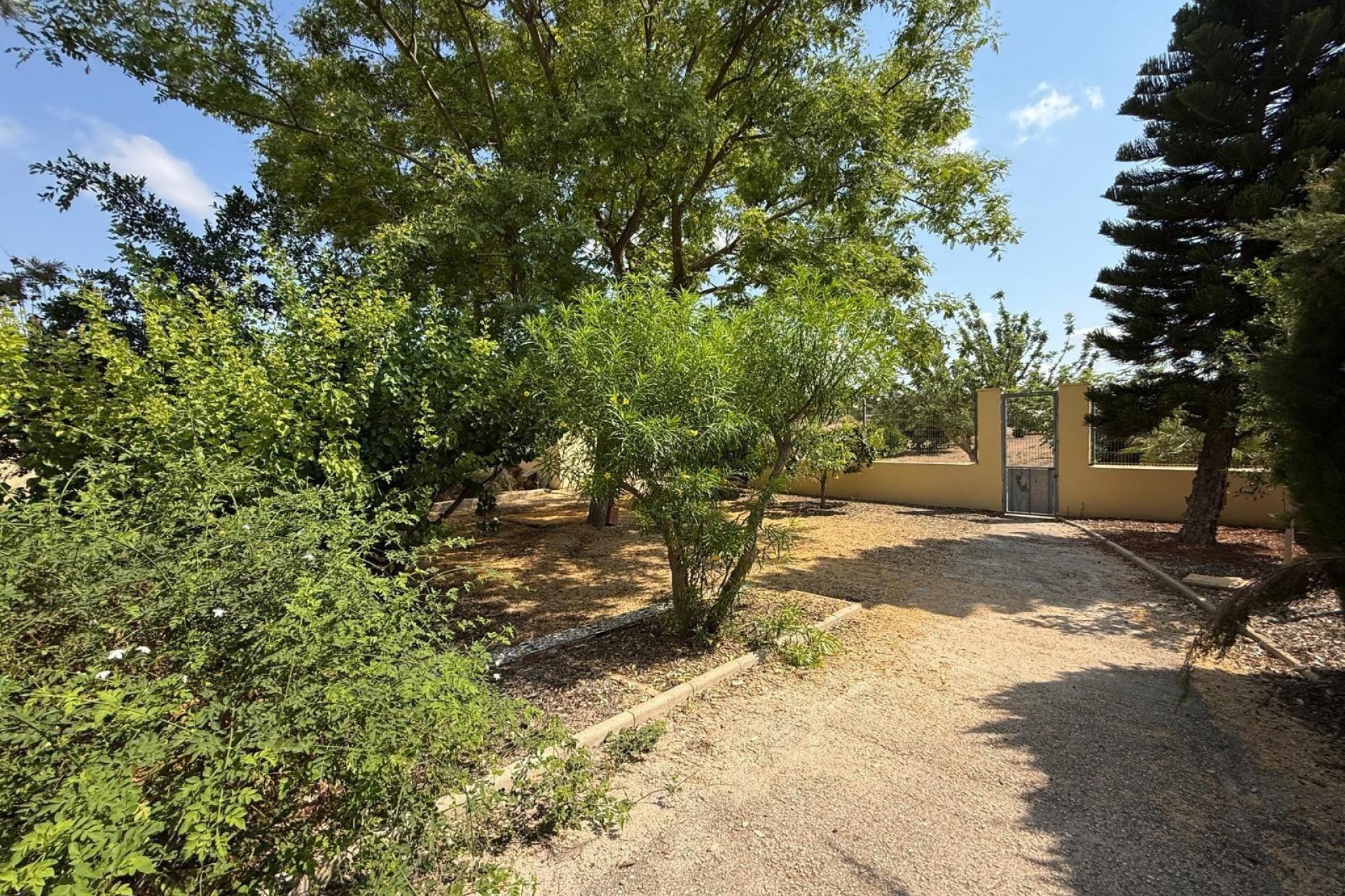 Odsprzedaż - Szalet - Albatera