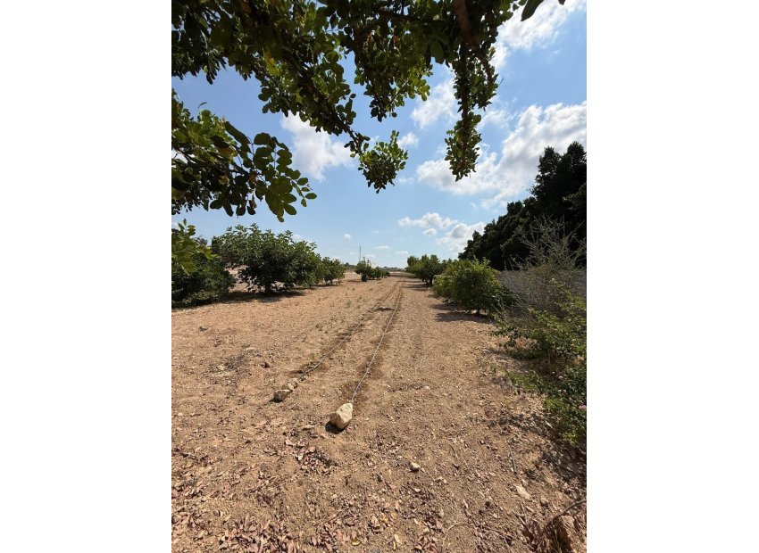 Odsprzedaż - Szalet - Albatera