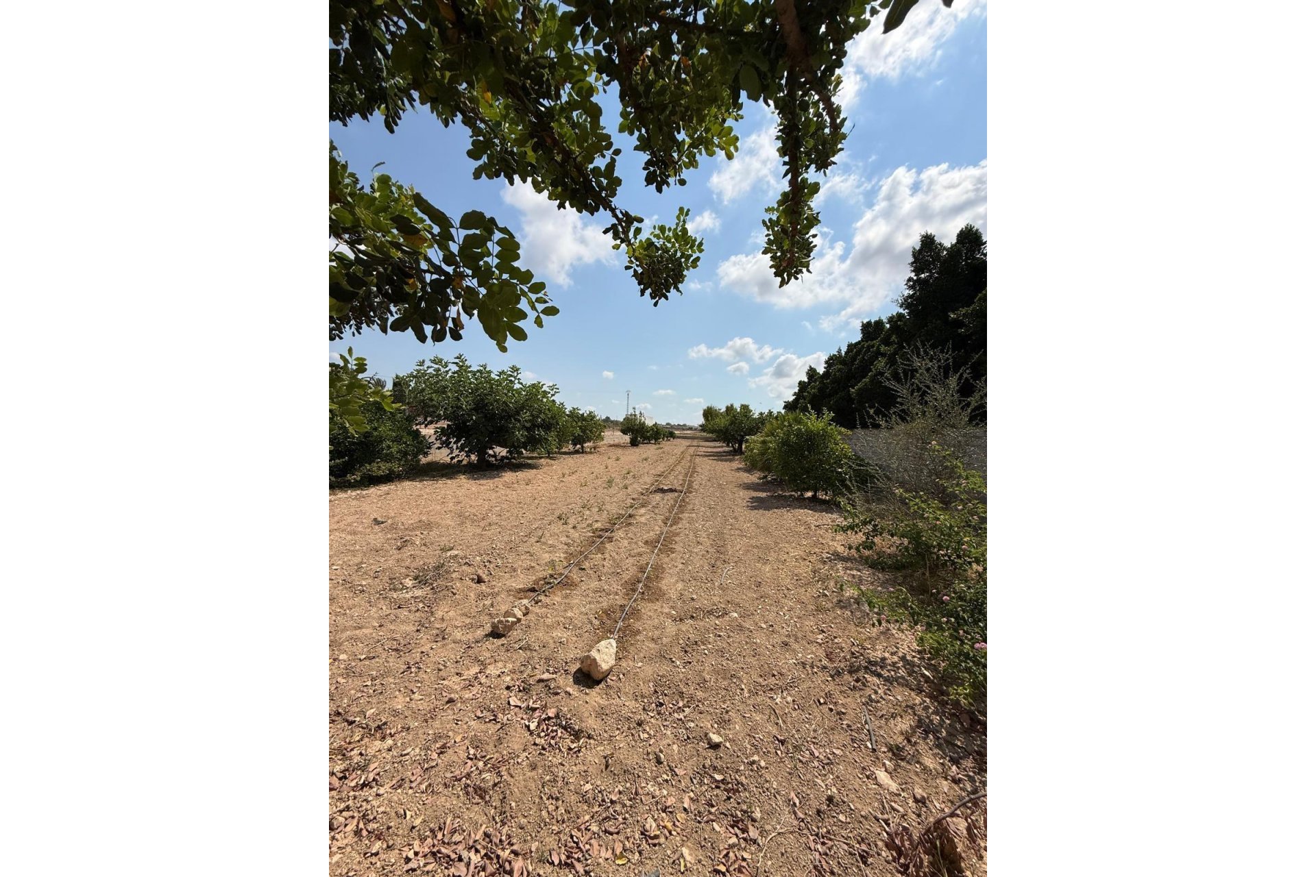 Odsprzedaż - Szalet - Albatera