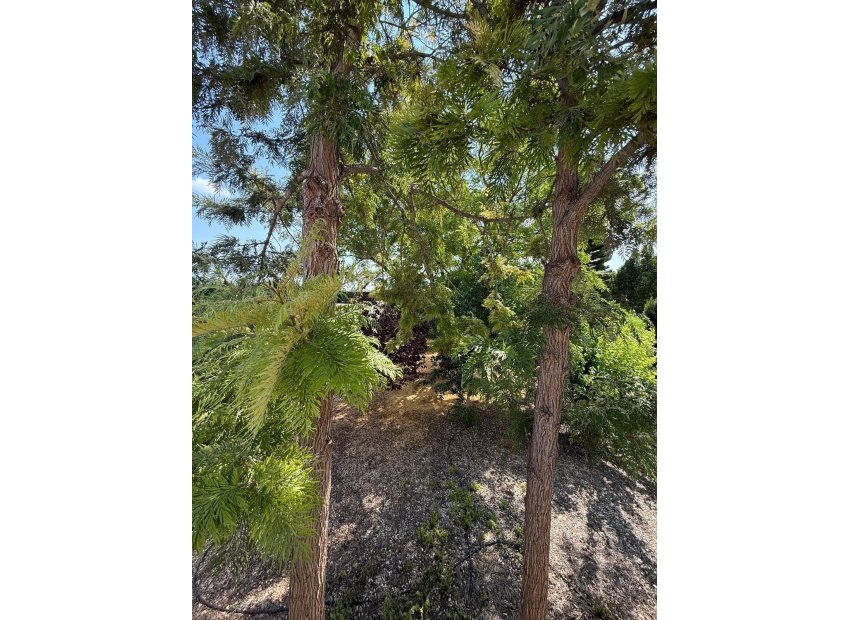 Odsprzedaż - Szalet - Albatera