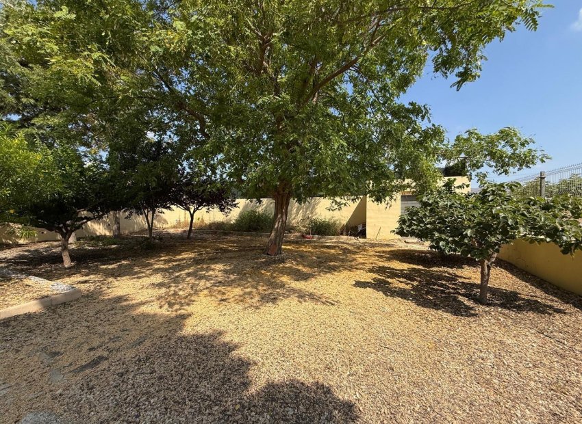 Odsprzedaż - Szalet - Albatera