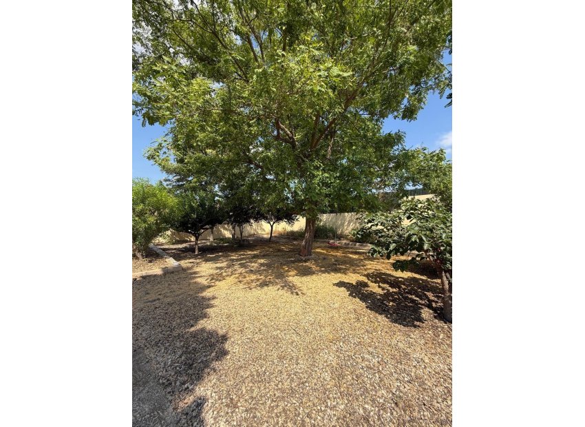 Odsprzedaż - Szalet - Albatera