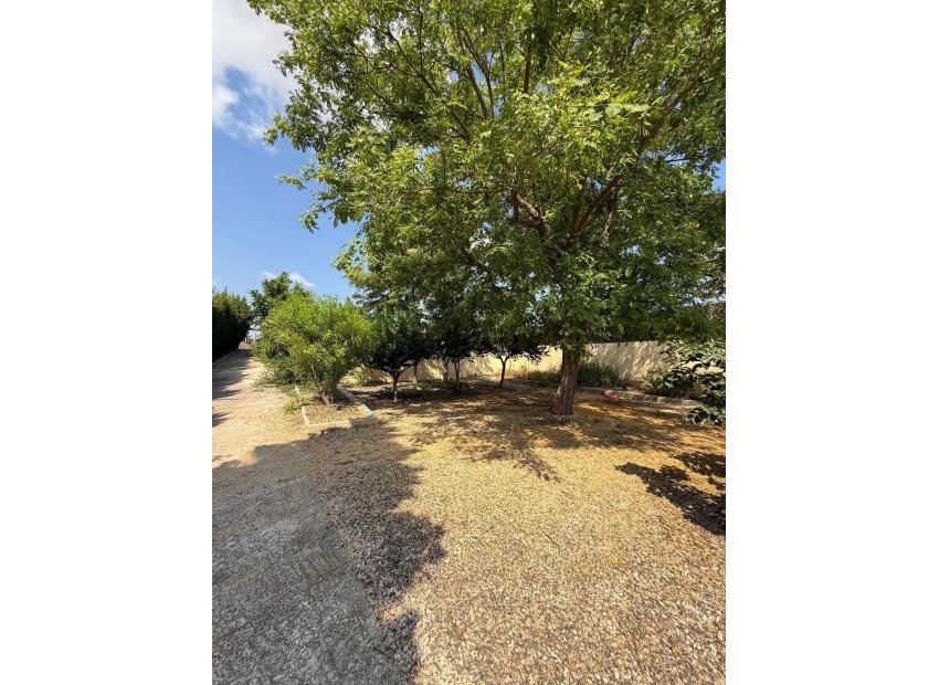 Odsprzedaż - Szalet - Albatera