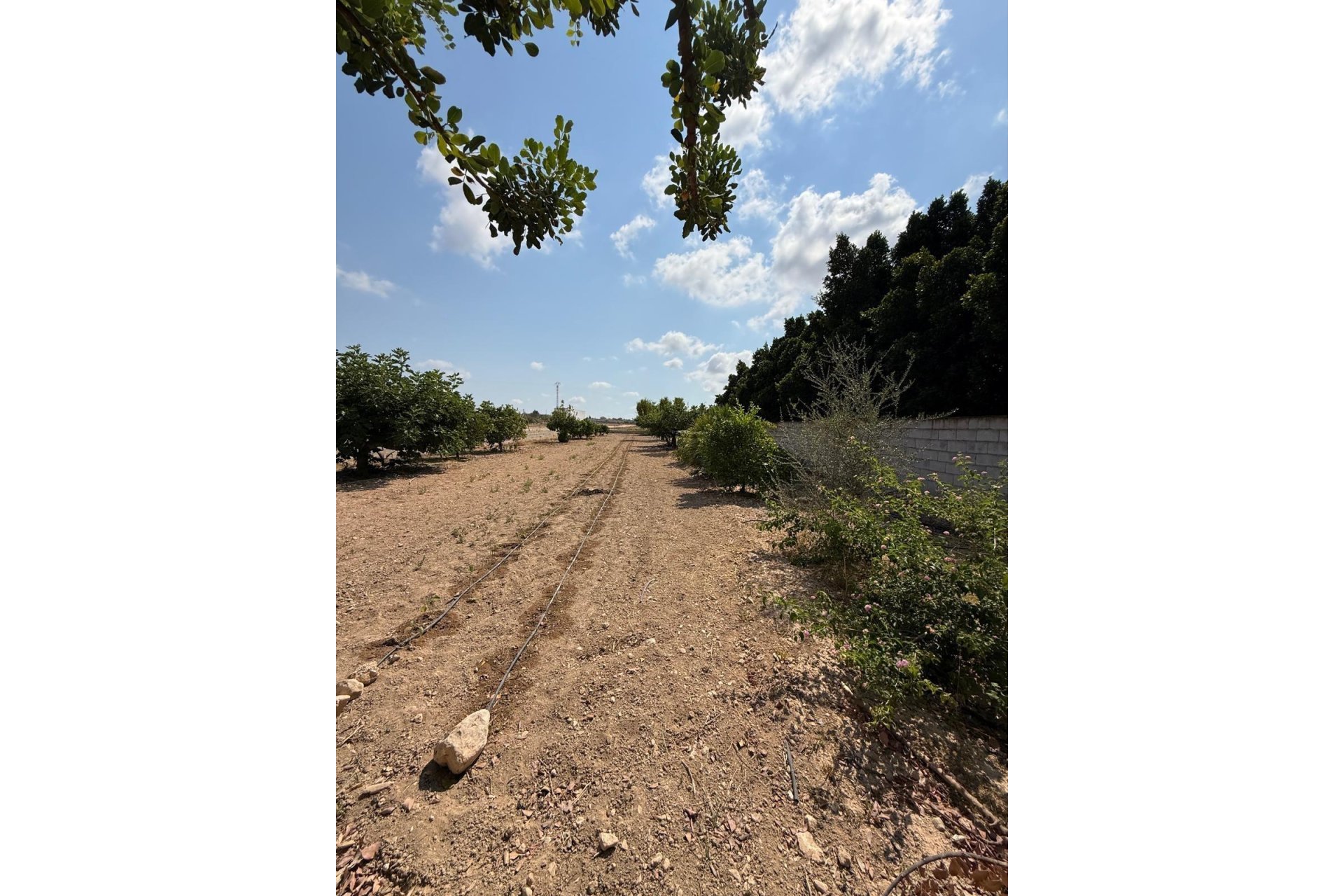 Odsprzedaż - Szalet - Albatera