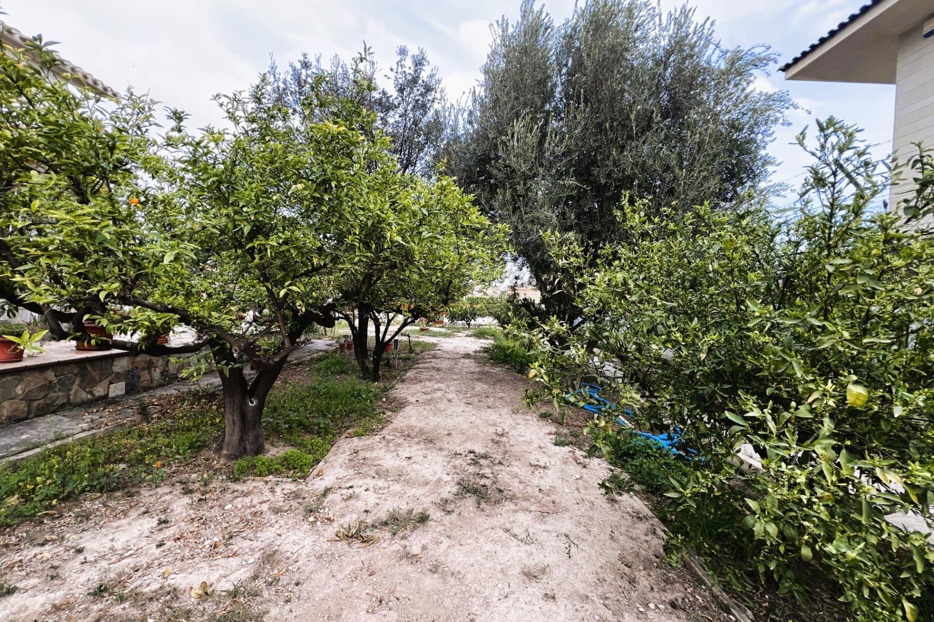 Odsprzedaż - Szalet - Elche - Ciudad Jardin