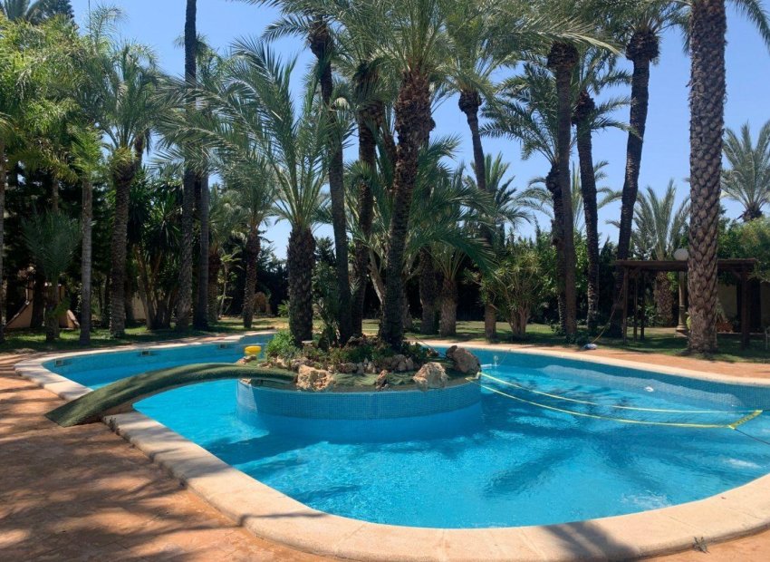 Odsprzedaż - Szalet - Elche Pedanías - Alzabares