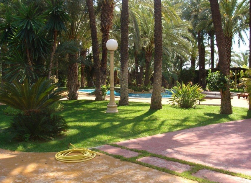 Odsprzedaż - Szalet - Elche Pedanías - Alzabares