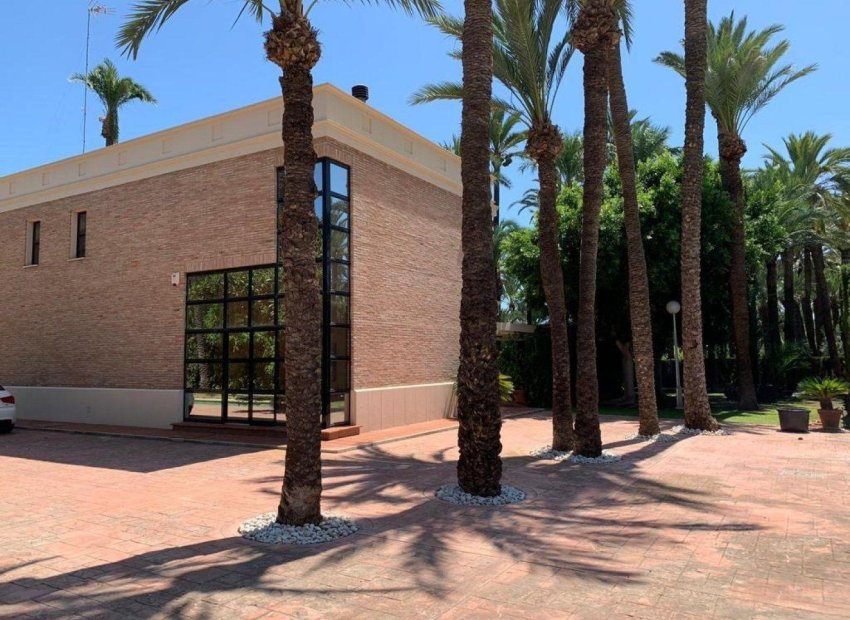 Odsprzedaż - Szalet - Elche Pedanías - Alzabares