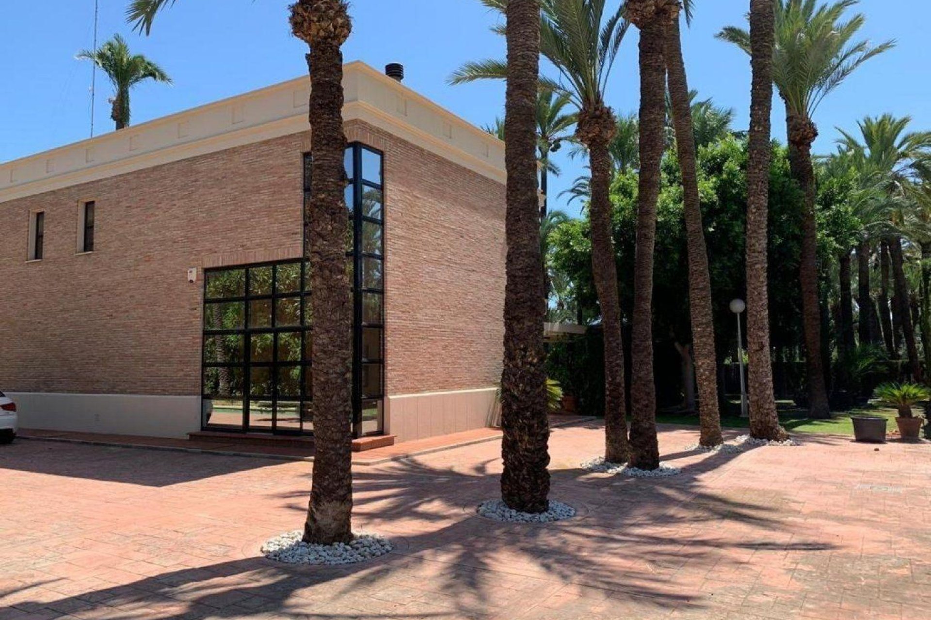 Odsprzedaż - Szalet - Elche Pedanías - Alzabares