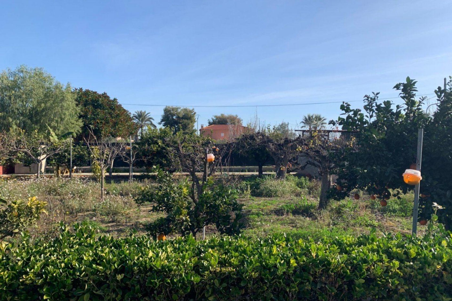 Odsprzedaż - Szalet - Elche Pedanías - Alzabares