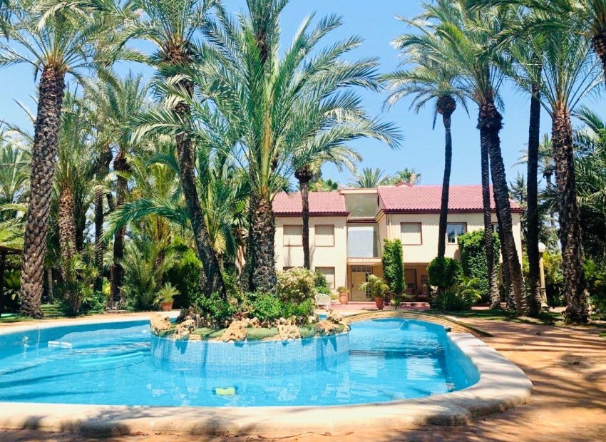Odsprzedaż - Szalet - Elche Pedanías - Alzabares