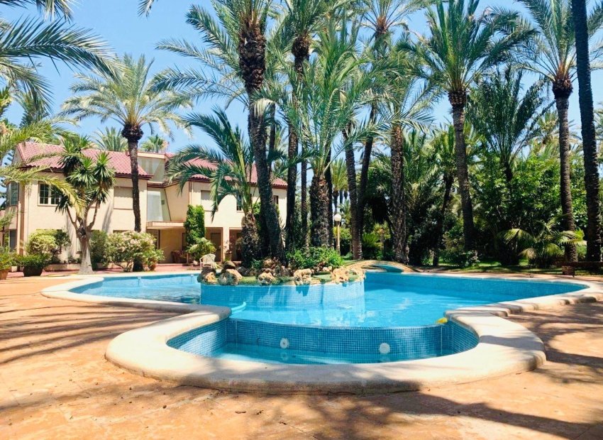 Odsprzedaż - Szalet - Elche Pedanías - Alzabares
