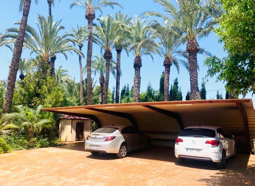 Odsprzedaż - Szalet - Elche Pedanías - Alzabares