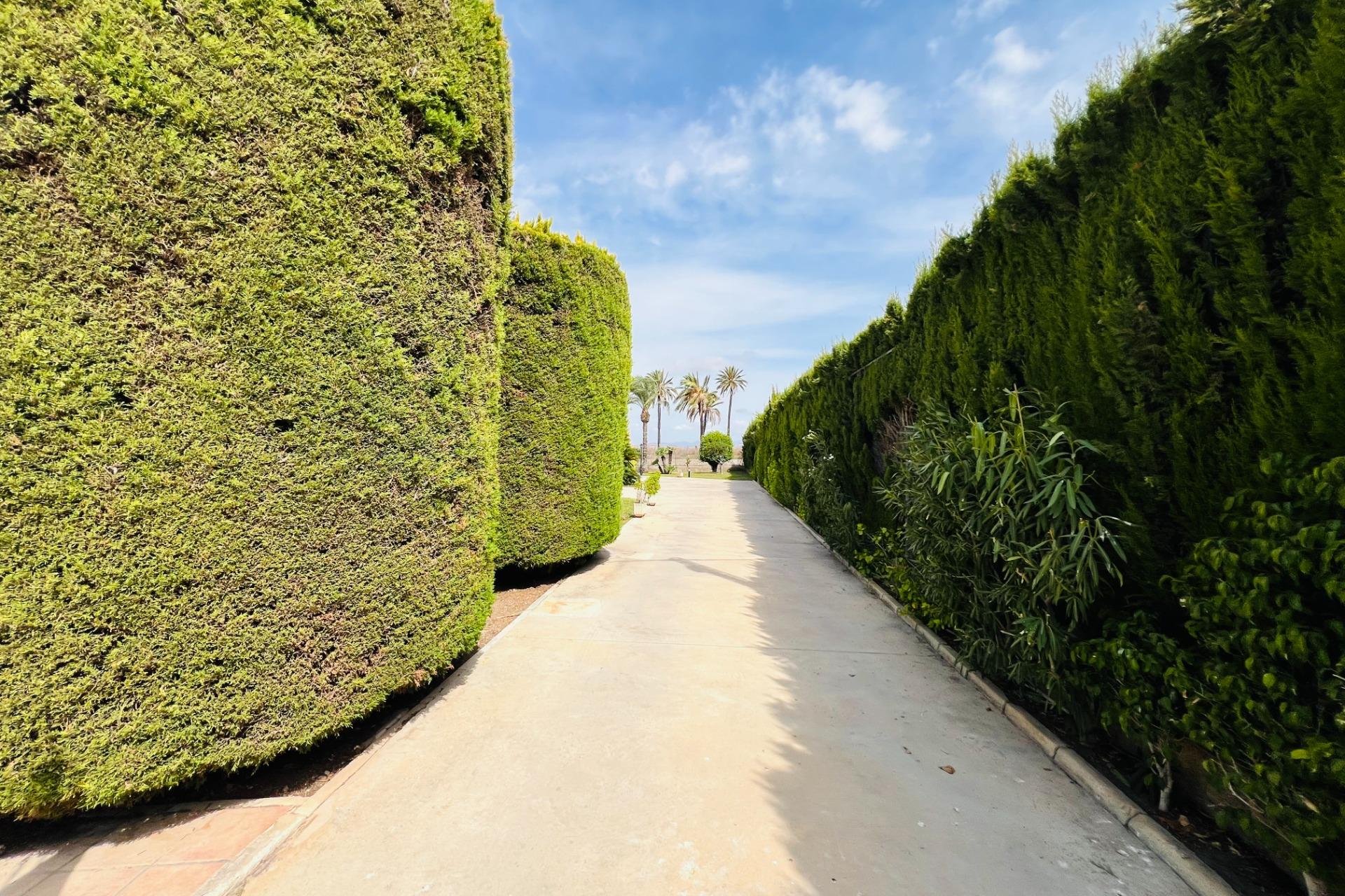 Odsprzedaż - Szalet - Elche Pedanías - Maitino-Perleta