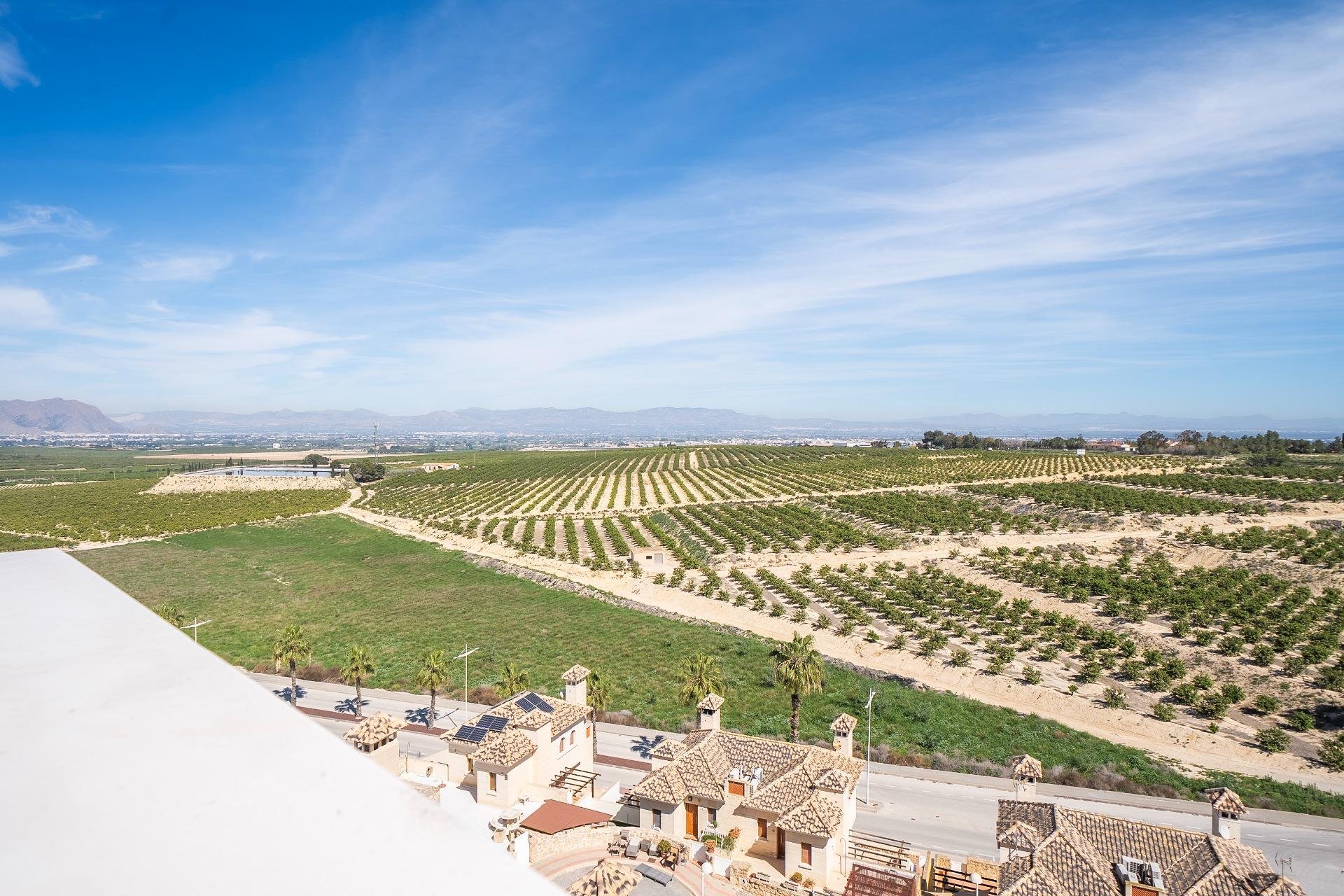 Odsprzedaż - Villa - Algorfa - Comunidad valenciana