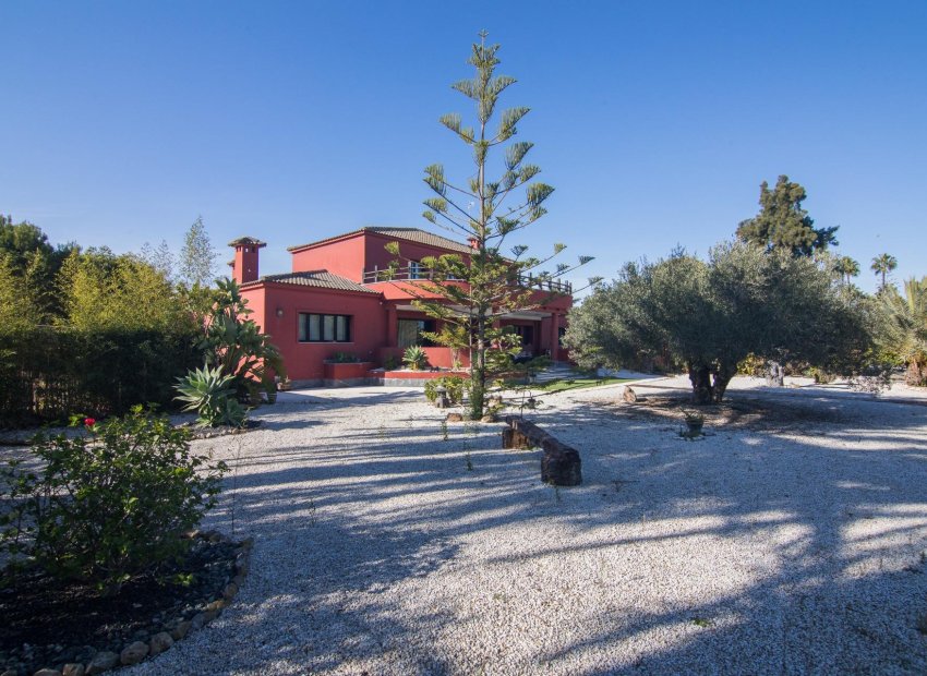 Odsprzedaż - Villa - Elche Pedanías - xLas bayas