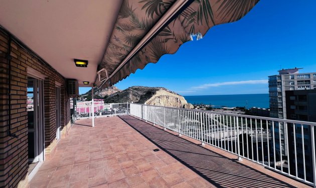 Penthouse - Resale - Alicante -
                Garbinet-Parque de las Avenidas