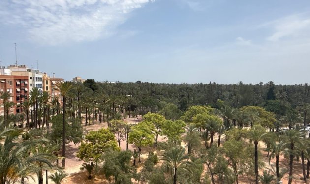 Piso - Resale - Elche -
                Centro