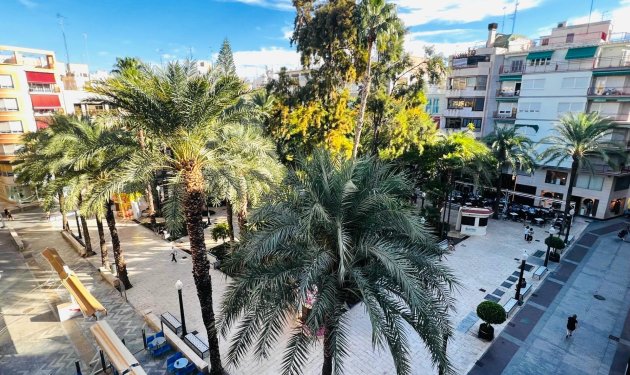 Piso - Reventa - Elche - Centro