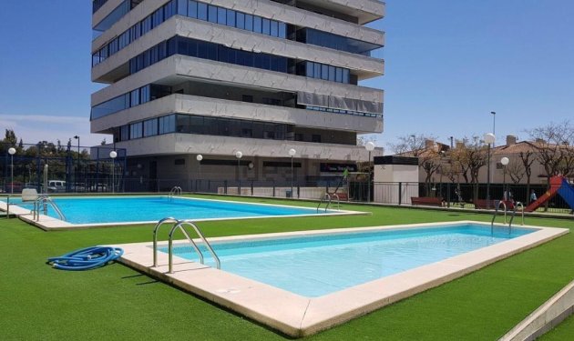 Planta baja - Resale - Elche -
                Zona Universidad