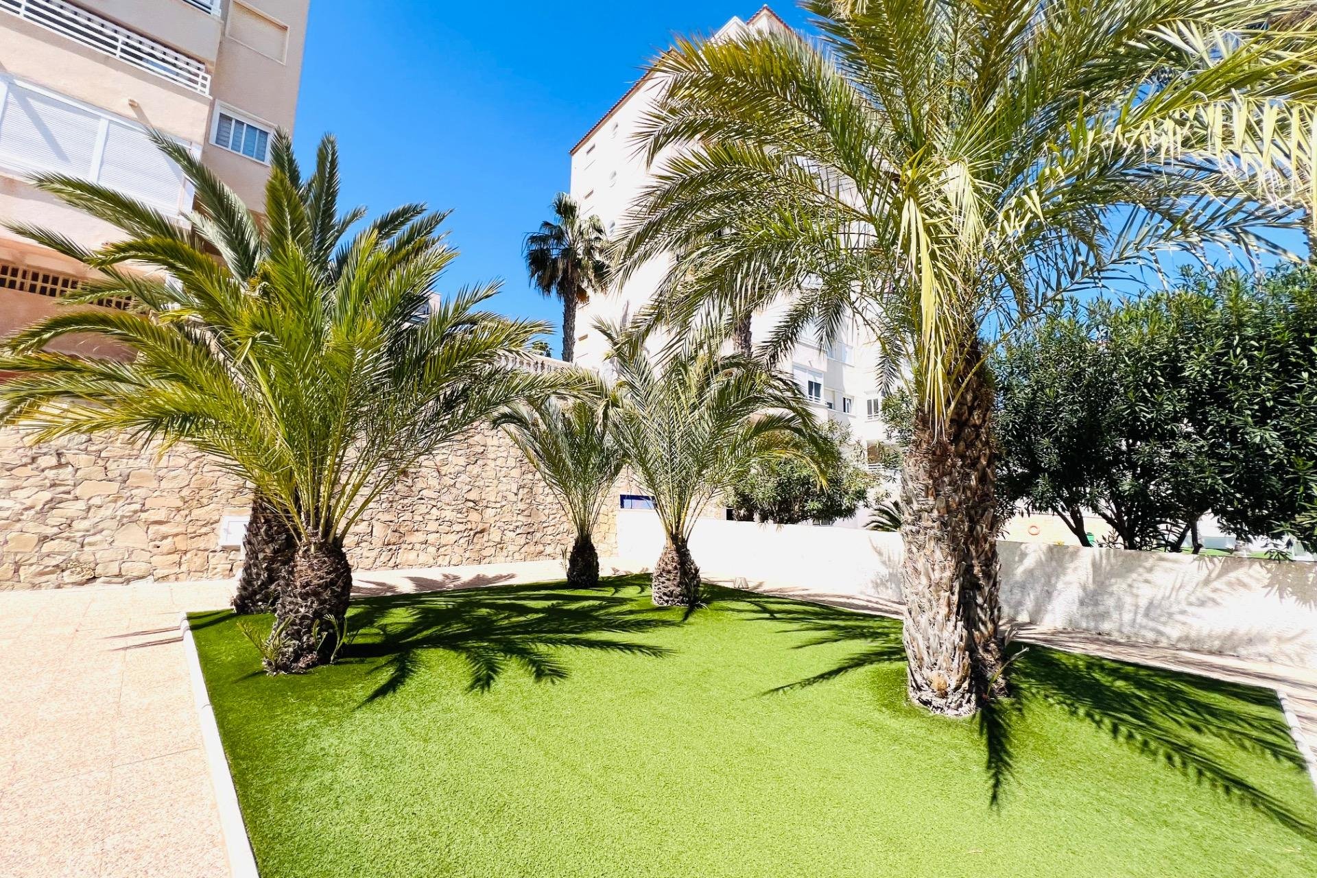 Resale - Apartamento - Arenales del Sol