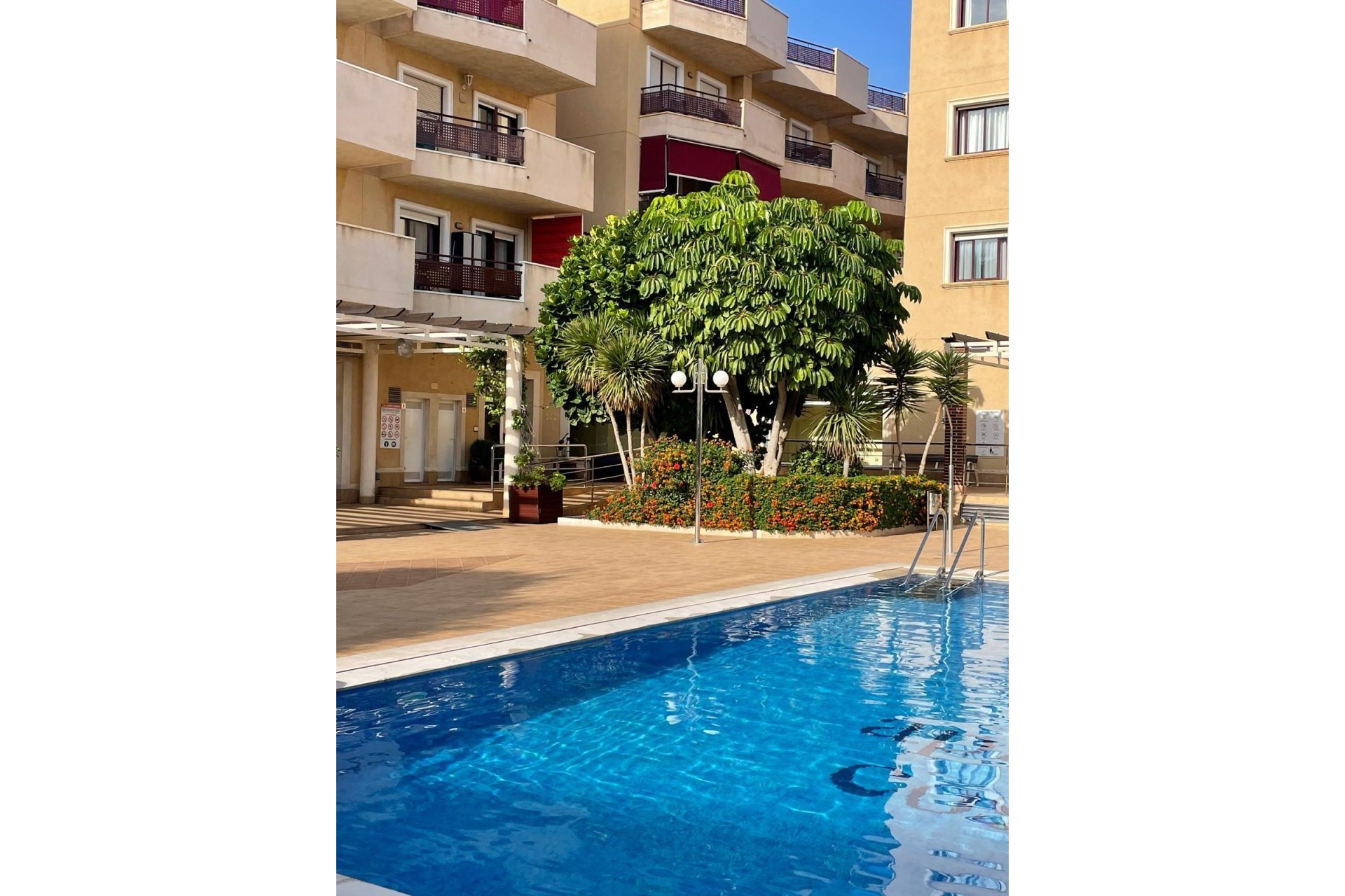 Resale - Apartamento - Orihuela Costa - Campoamor