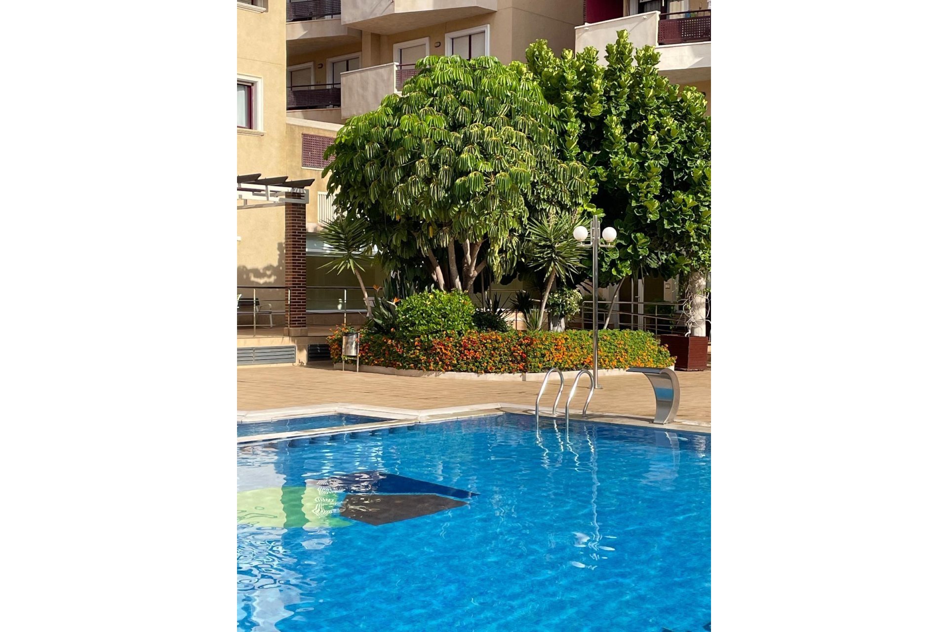 Resale - Apartamento - Orihuela Costa - Campoamor