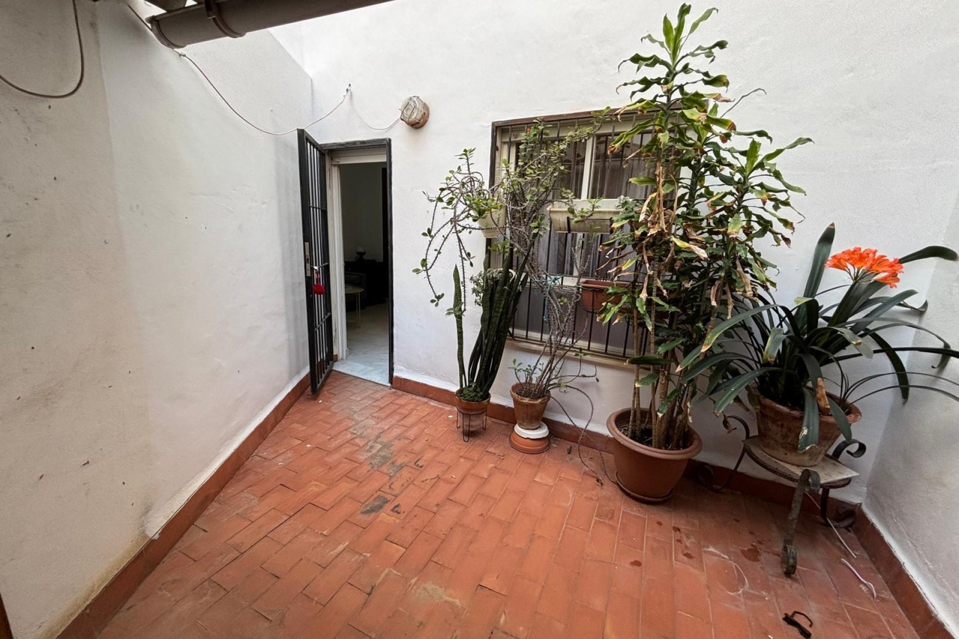Resale - Apartamento - Torrevieja - Centro