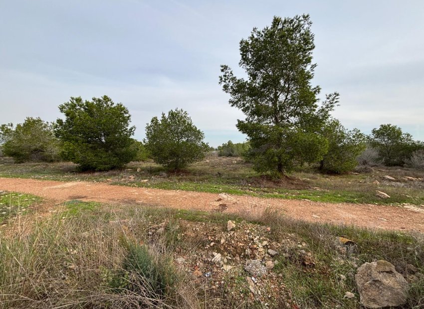 Resale - Bungalow - Torrevieja - El chaparral