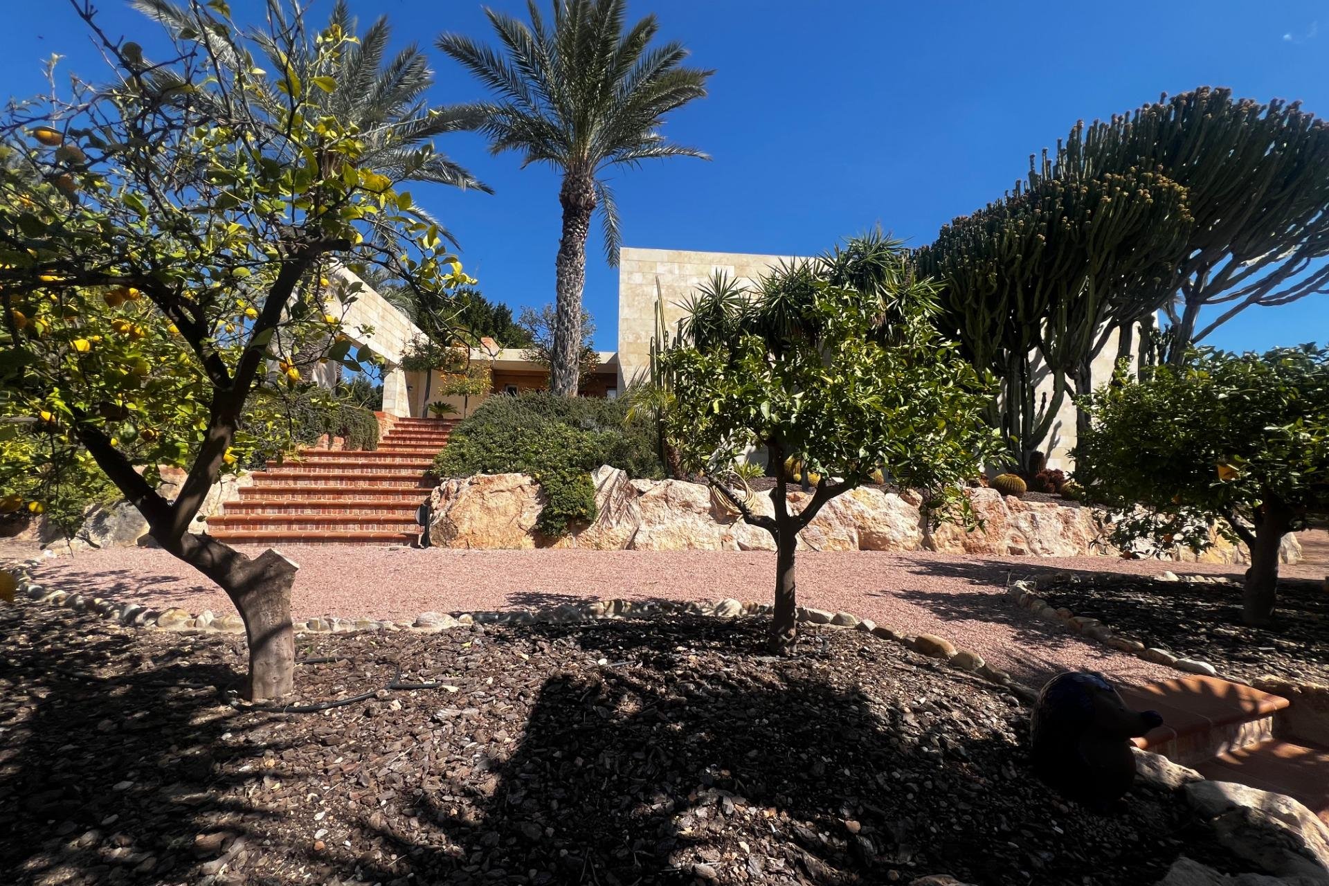Resale - Chalet - Elche - Bonavista