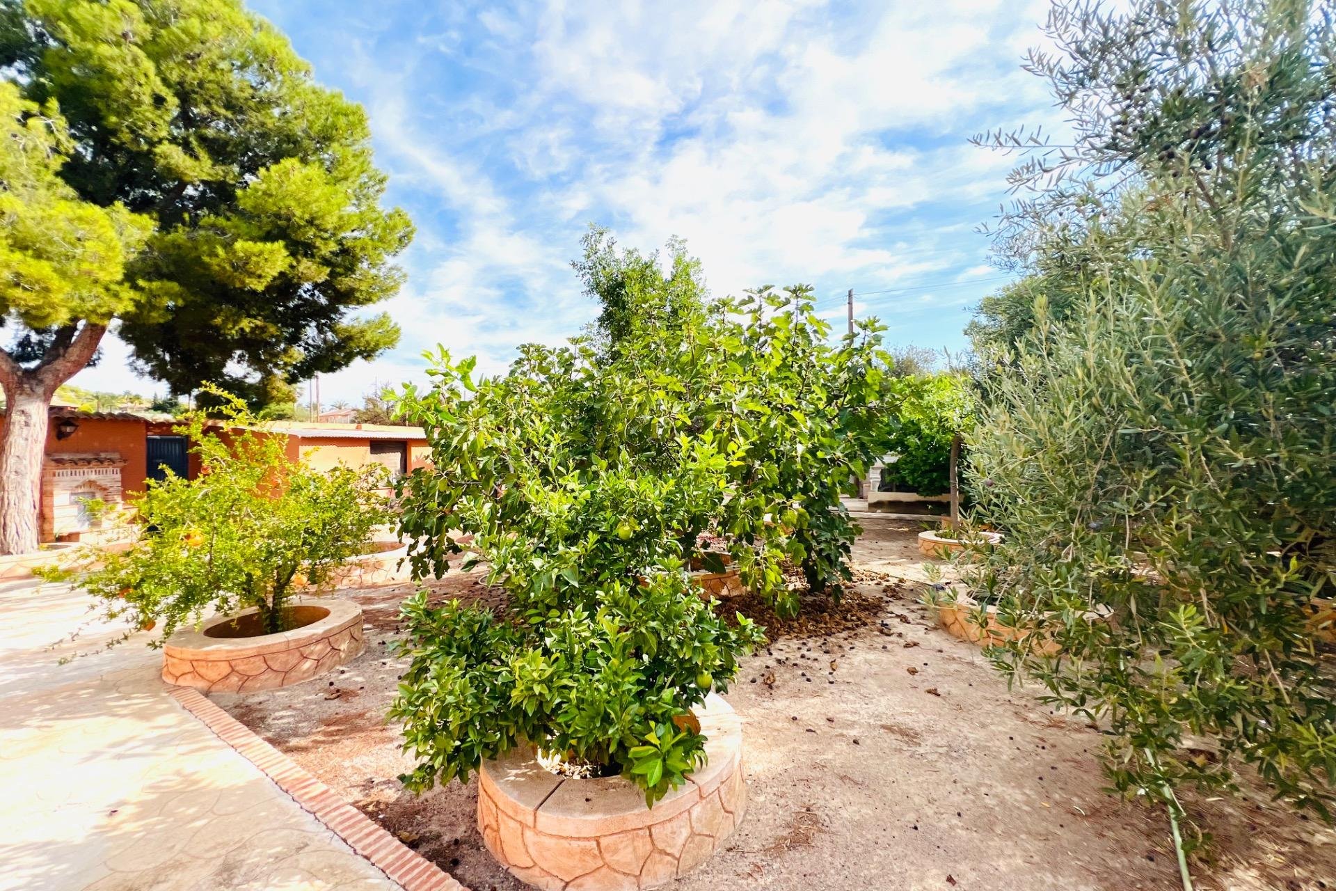 Resale - Chalet - Elche - La Galia-Bonavista
