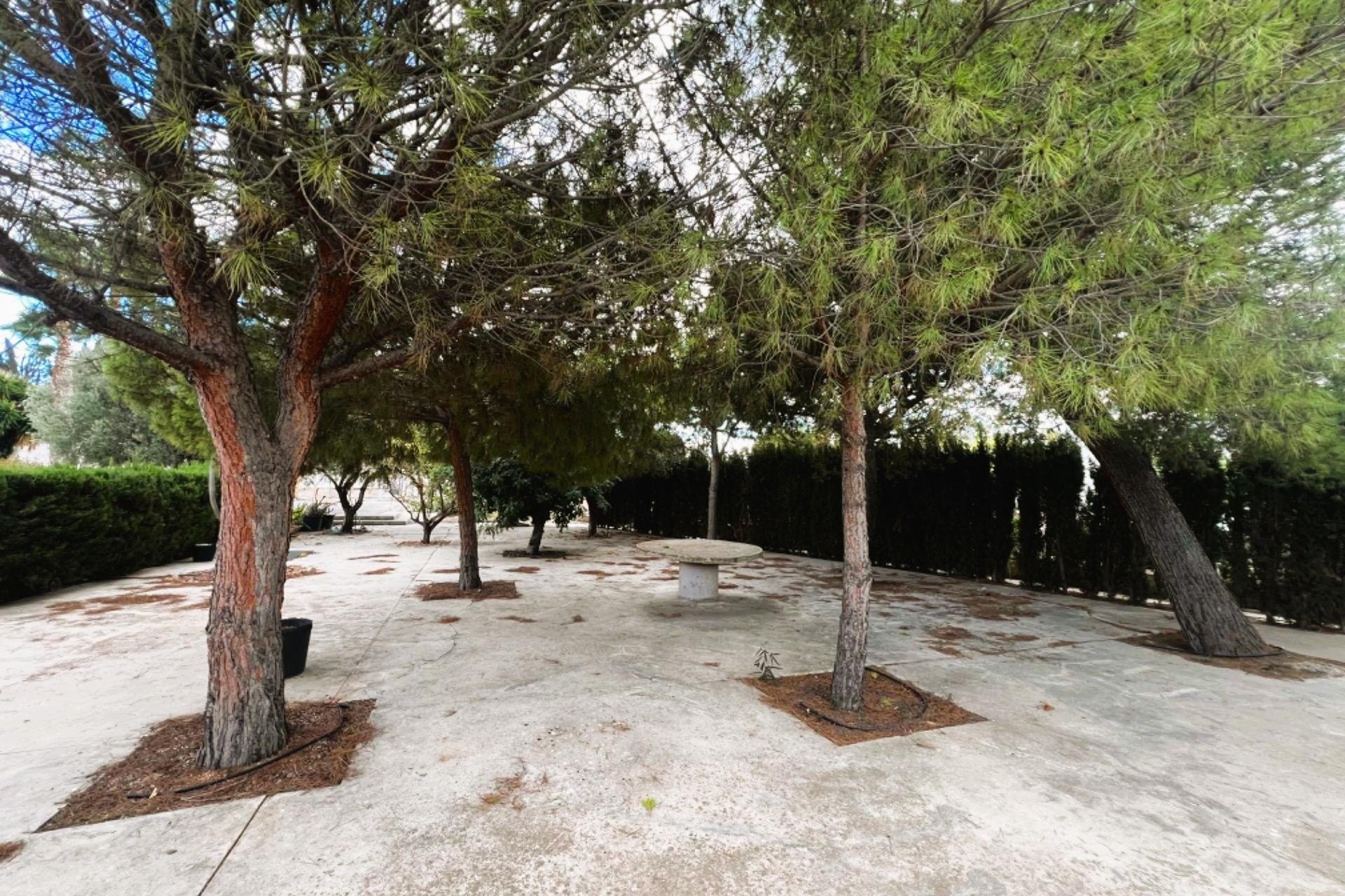 Resale - Chalet - Elche - La Galia-Bonavista